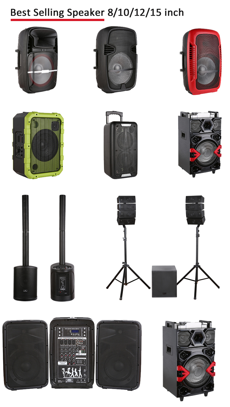 Newly Designed High Power Karaoke Party Audio Speaker Box