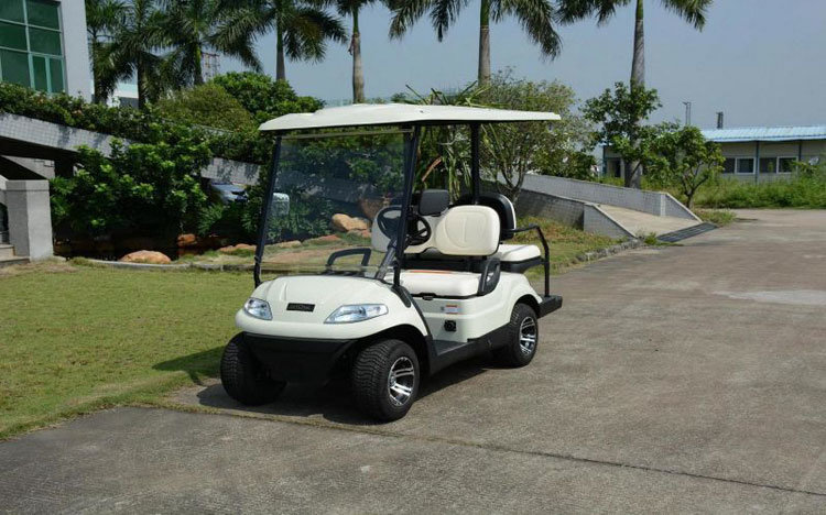 2 Seater Low Price Custom Electric Small Golf Cart