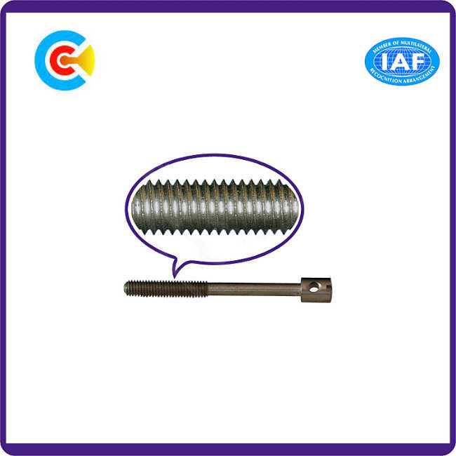 DIN/ANSI/BS/JIS Carbon-Steel/Stainless-Steel Word Telescopic Seal Slotted Hole Spherical Screw