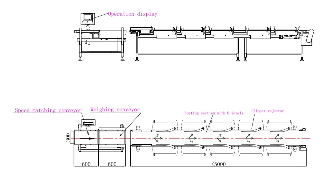 High Accurage 8 Grades Poultry / Chicken/Duck Weight Sorting Machine