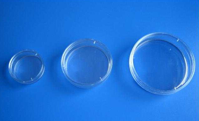 Glass Disposable Petri Dish