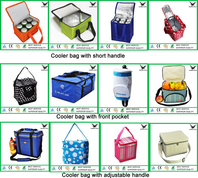 Custom 6 Pack Non Woven Insulated Thermal Lunch Cooler Bag Wholesale China Manufacture