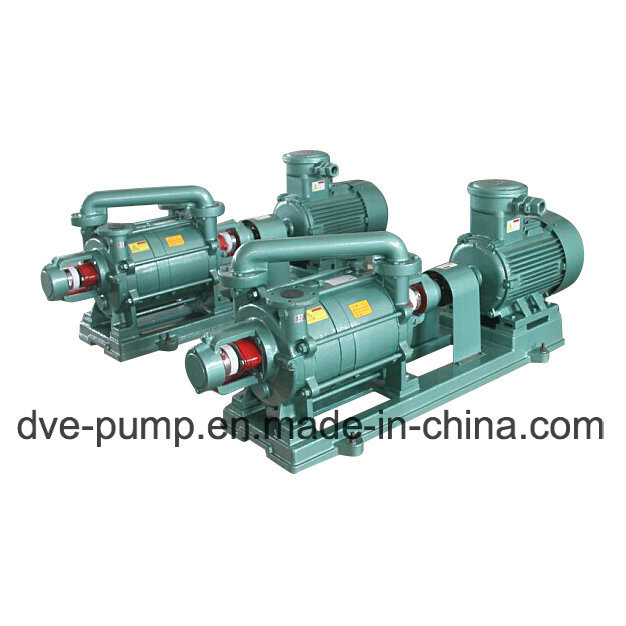 Zj Series Roots Vacuum Pump Manufacturer in China