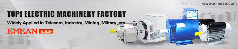 40kw Electrical Auto Alternator OEM Manufacturer