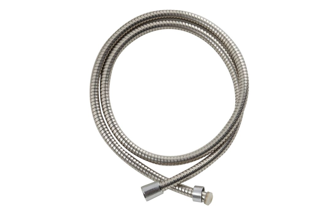Stainless Steel Shower Hose in Plumbing Hardware Shower Accessories 3054