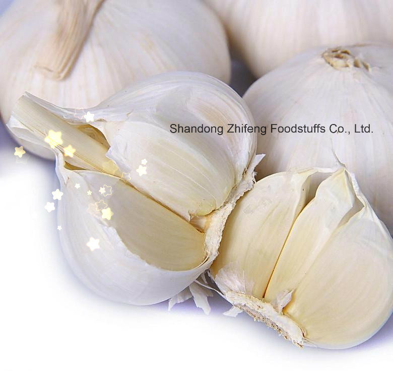 5.5cm Chinese Pure Fresh Garlic
