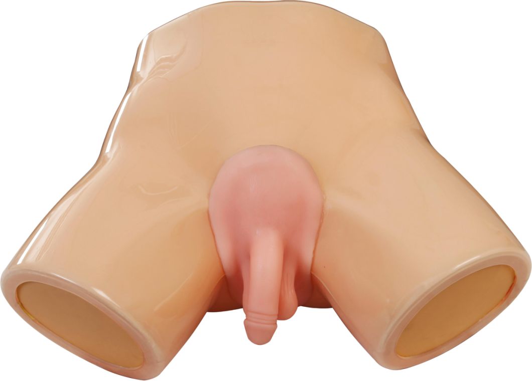 Xy-L-1033b Male Genital Lesions Simulator