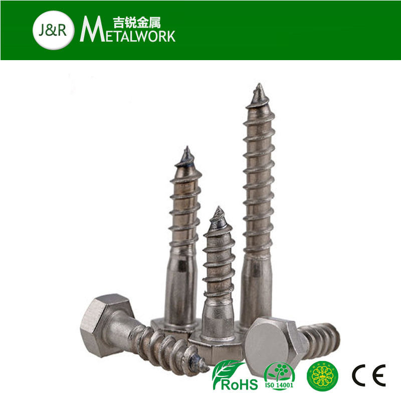 A2 A4 Stainless Steel Ss304 Ss316 Hex Hexagon Head Self Tapping Coach Lag Wood Screw (DIN571)