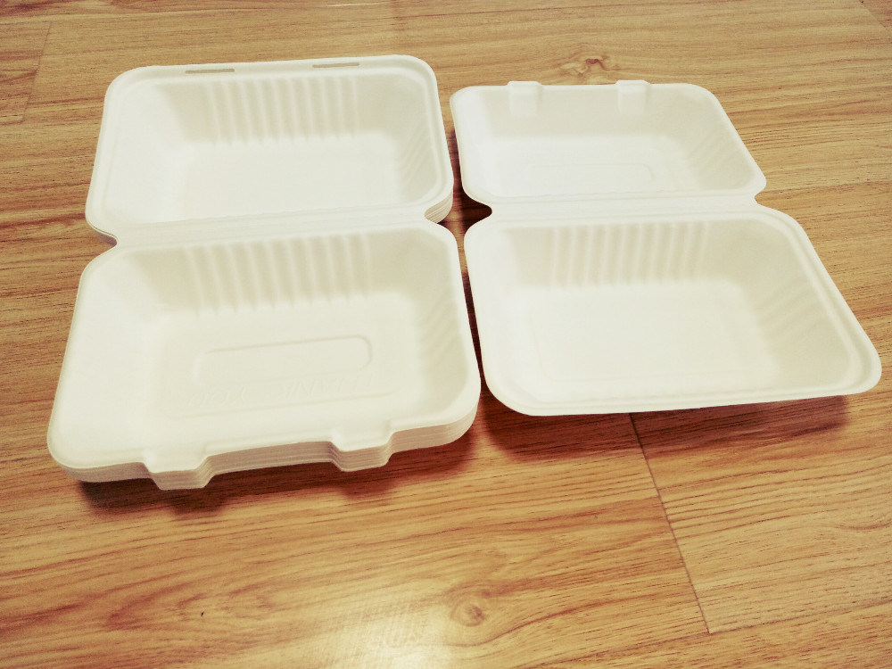 Biodegradable and Compostable Bagasse Pulp 1000ml 2 Compartment Clamshell Food Container