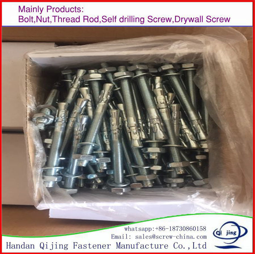 Wedge Anchor Bolt M14X100