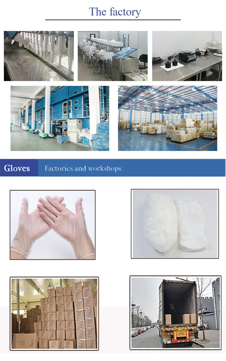 Disposable Vinyl/PVC Exam Surgical Gloves