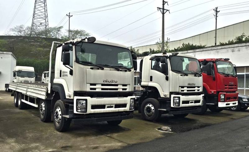 China Isuzu Truck Cargo Truck 6X4