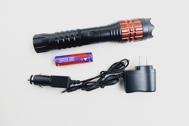 X5 Ms. Protection Defibrillator Riot Stun Gun Police Flashlight