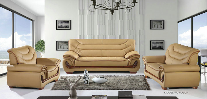 Factory Price Living Room Furniture Genuine Leather Sofa (F089)