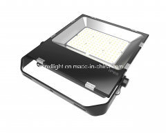 Hot Sale 10W 50W 150W 200W Hot Sale LED Flood Light