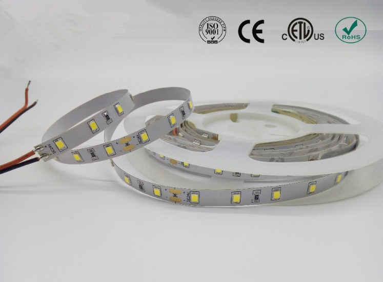 LED Wireless Non-Waterproof 60LEDs 2835 CRI90 Flexible Strip Light for Indoor