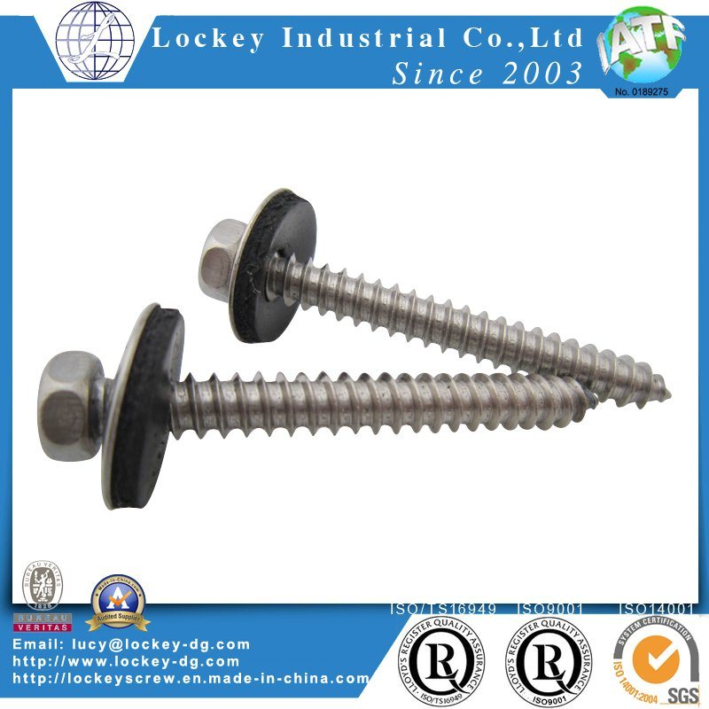 Stainless Steel 304 Hex Head Self Drilling Tapping Screw with Boned Washer