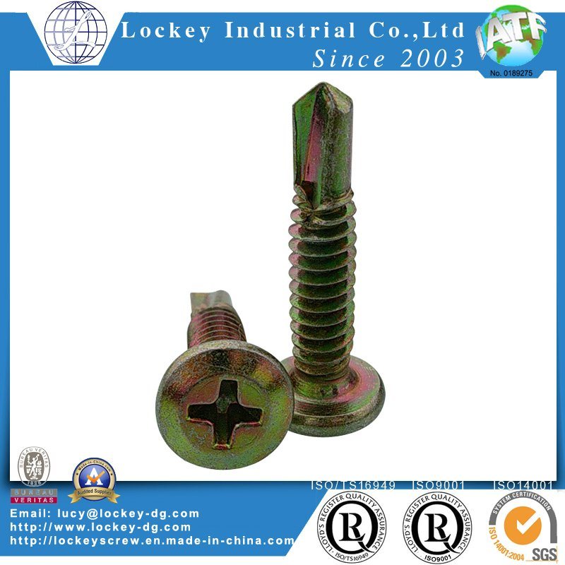 Stainless Steel Screw Ss410 Hex Washer Head Self Drilling Screw