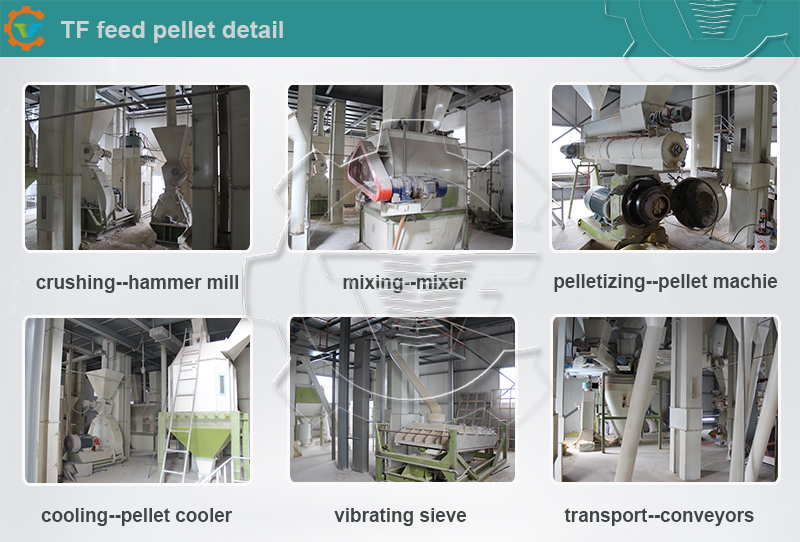 Ce Animal Feed Pulverizing Grinding Crushing Equipment