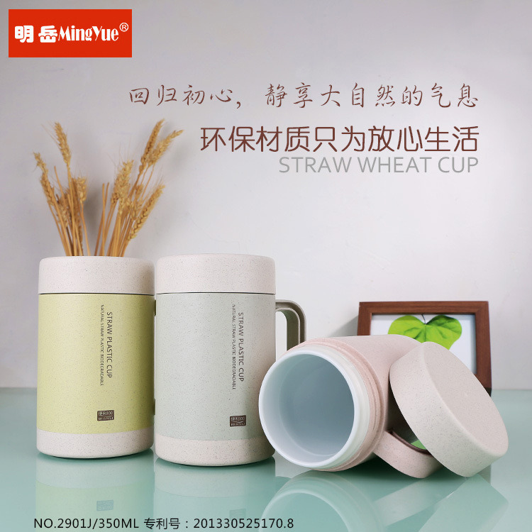 Wholesale Eco Friendly Straw Wheat Ceramic Double Wall Coffee Mug