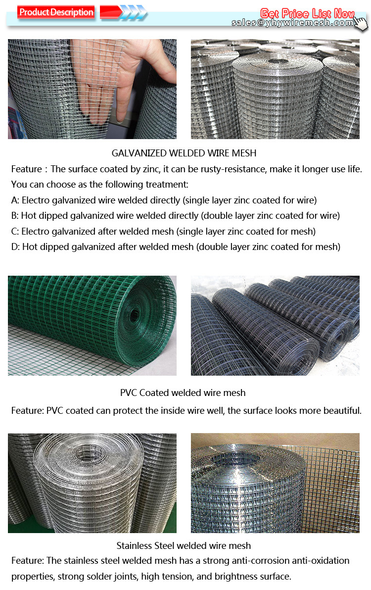 1/2''x1/2''carbon Steel Galvanized Welded Wire Mesh