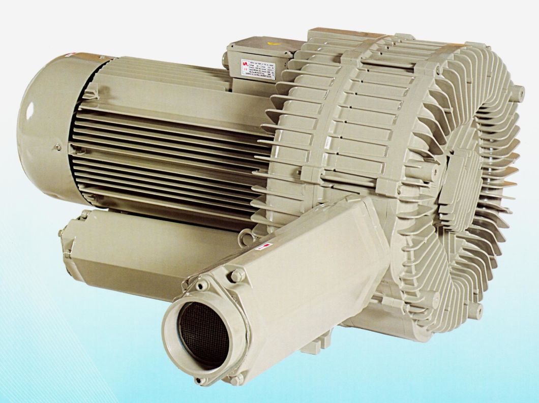 Double Stage Vacuum Pump, Side Channgel Blowr