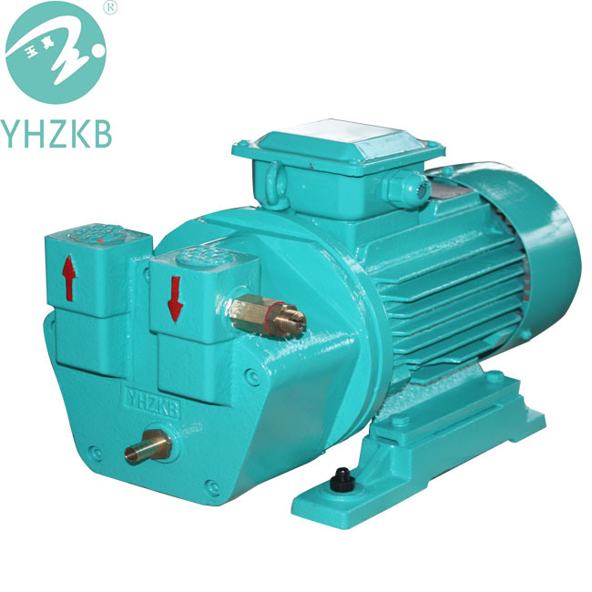 Sk-a Series Stainless Steel Water Ring Vacuum Pump