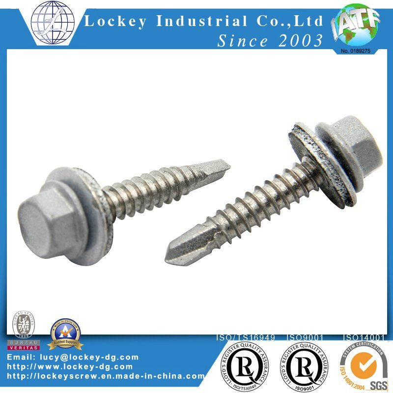 Painted Hex Washer Head Self Drilling Screw with EPDM Bond Washer