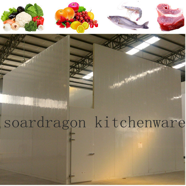 Standard Cold Storage Room for Meat & Fish Storage