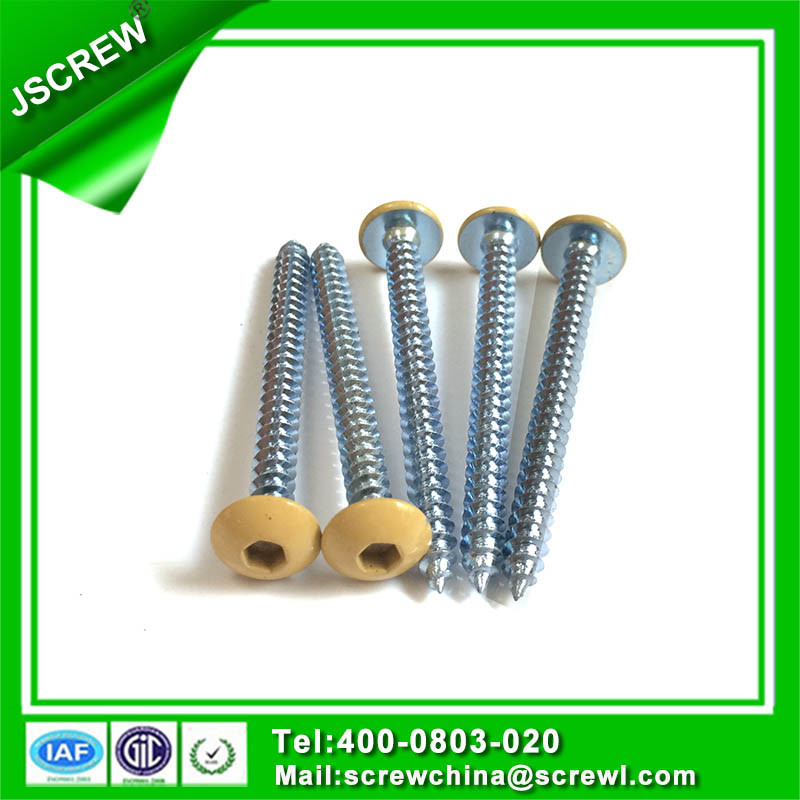 Round Mushroom Painted Head M5 Confirmat Screws