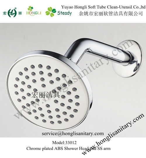 33012 Chrome Plated Shower Head with Stainless Steel Arm