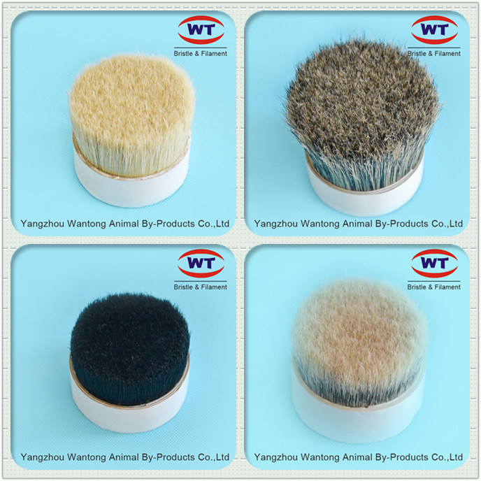 High Quality Chungking Natural Black Boiled Bristles