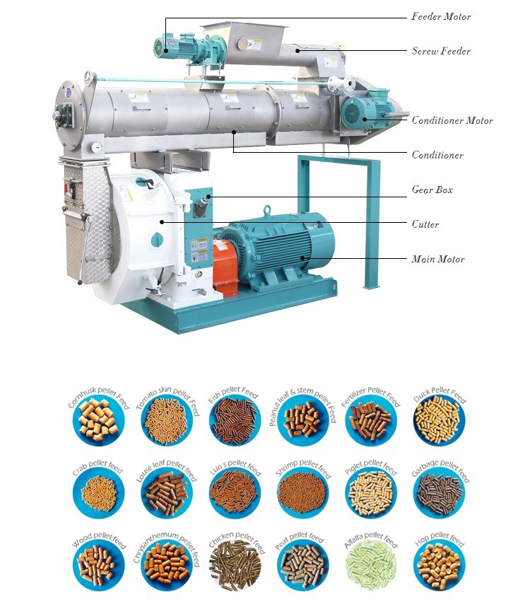 Competitive Cattle Feed Pellet Machine China Manufacturer