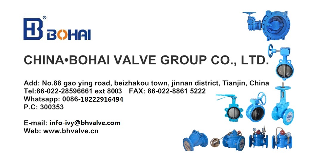Industrial Double Shaft Soft Seat Wafer Butterfly Valve