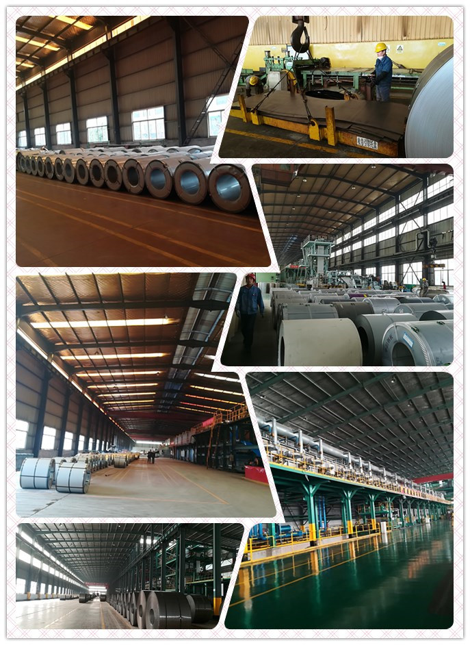 Manufactory Galvanized Steel Coil/Strip for Construction China Dx51d