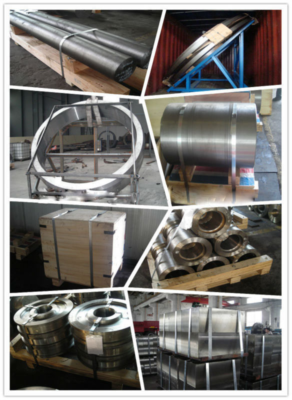 Atsm Carbon Steel / Alloy Steel Heat Exchanger Tube Sheet Flange for Electric Power