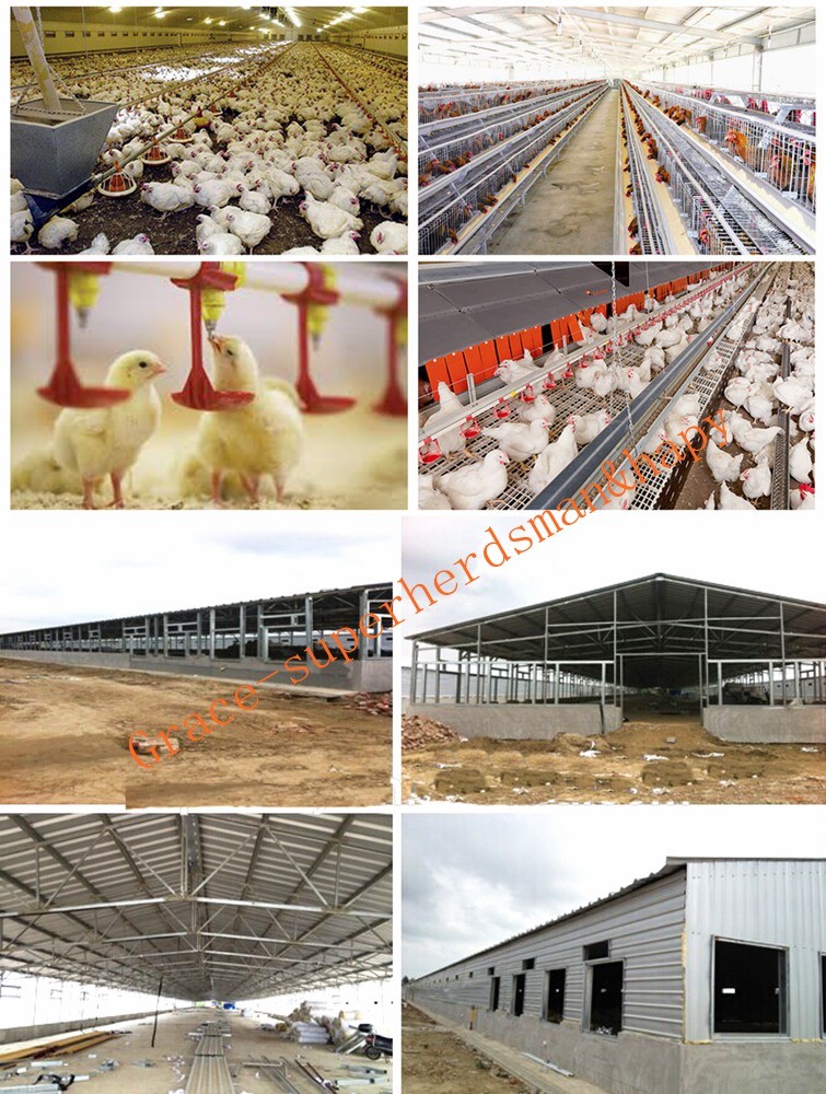 Automatic a Type or H Type Layer Cages From China