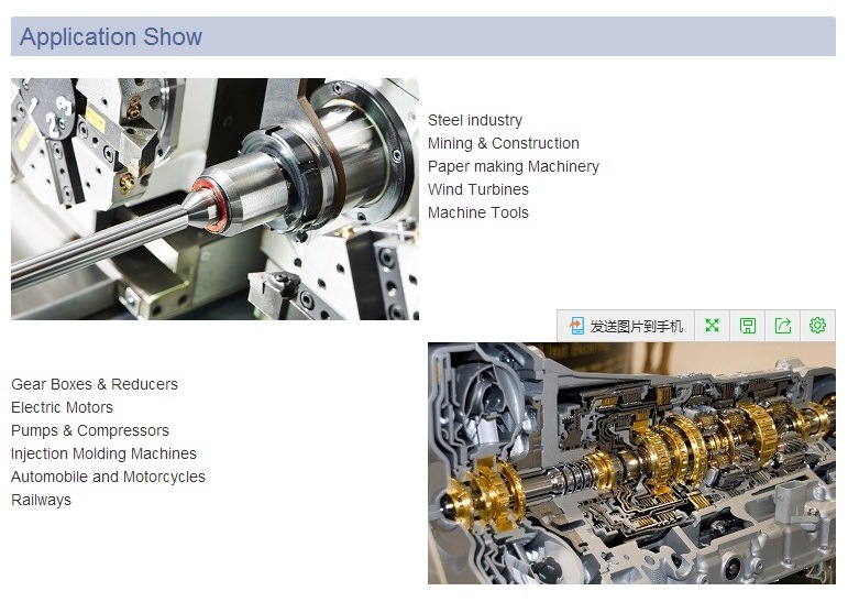 Machinery Bearing/Pillow Block Bearing/Bearing Units/Housing