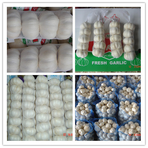 No 5 New Wholesale Shandong Good Price Export Solo Pure Peeled Fresh Dried Normal/Super White Dehydrated Garlic