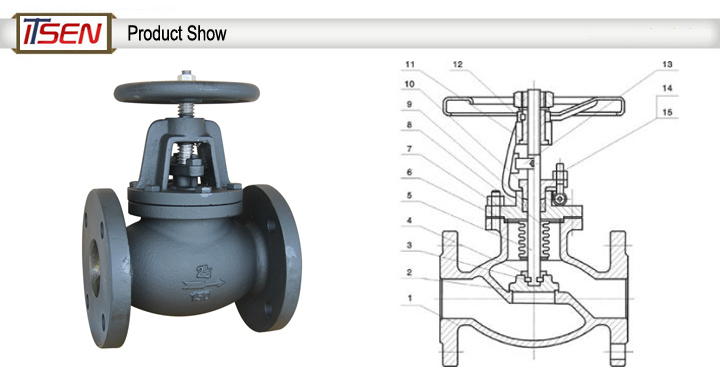 ANSI Cast Iron Globe Valve of (MS SP-85)