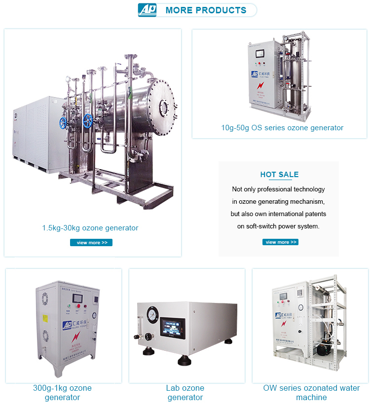 80g Ozone Machine Water Treatment System