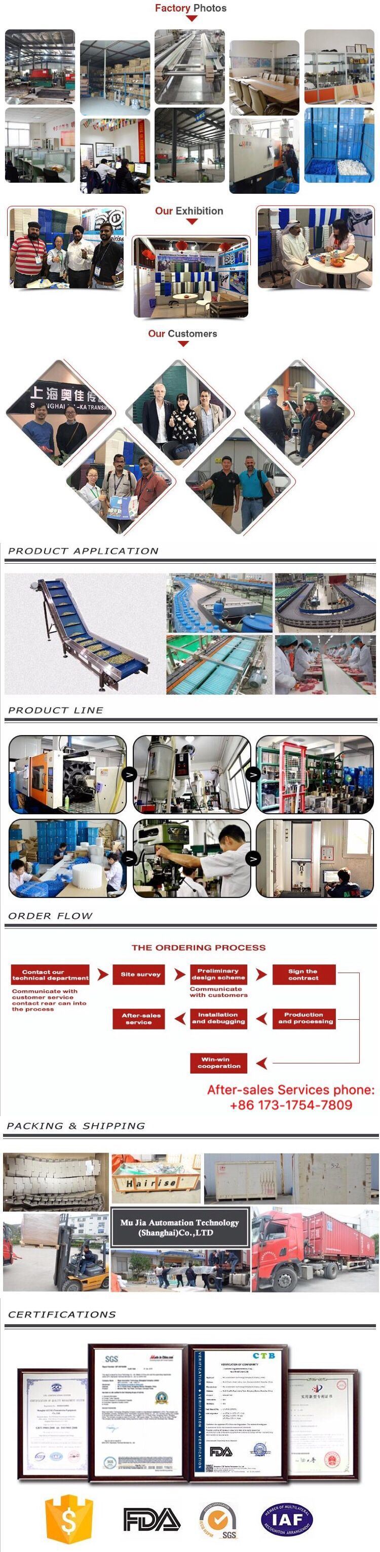 Hairise Scale Chute Motorized Material Handling Skid Conveyors