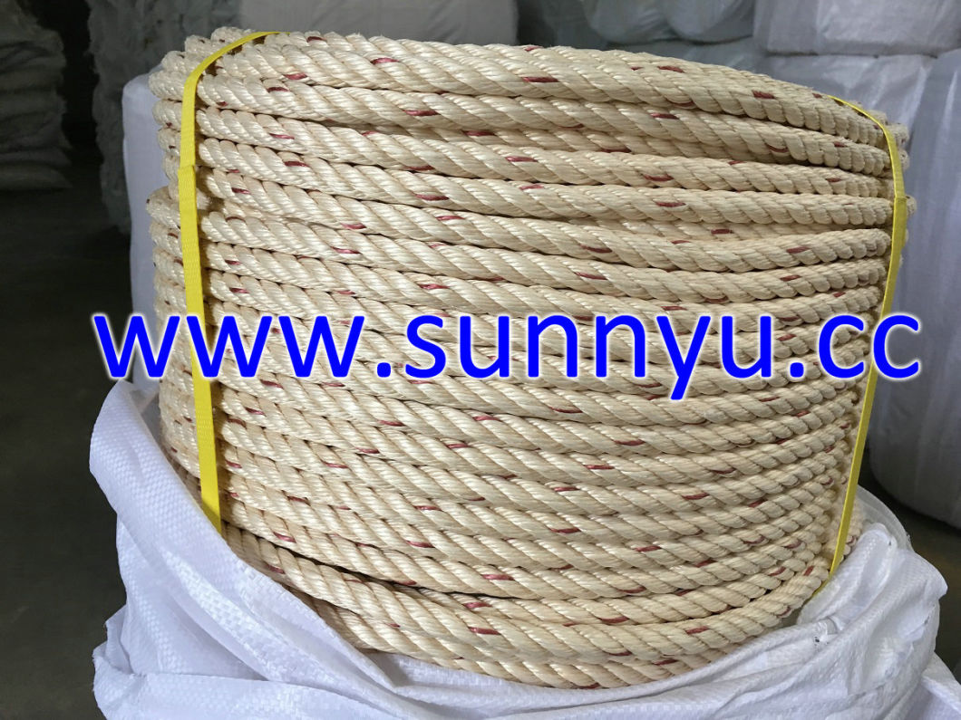 PP Danline Mooring Rope 3 Strands PP Danline Rope, PP Rope