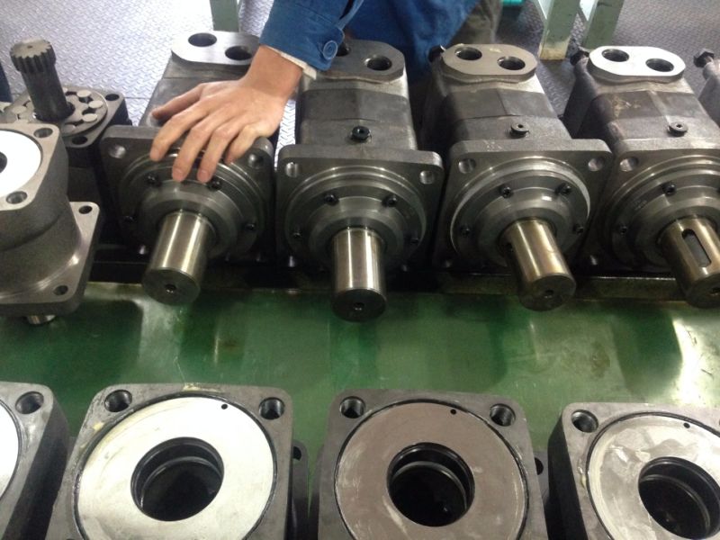 Oms-Bm5 Orbit Hydraulic Motor, Bm3 160 Oms 160 Orbit Hydraulic Motor for Fishing Machinery