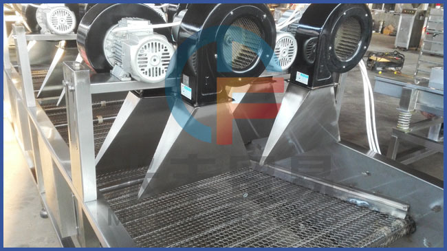 Continous Fruit and Vegetable Air Flow Mesh Belt Drying Machine