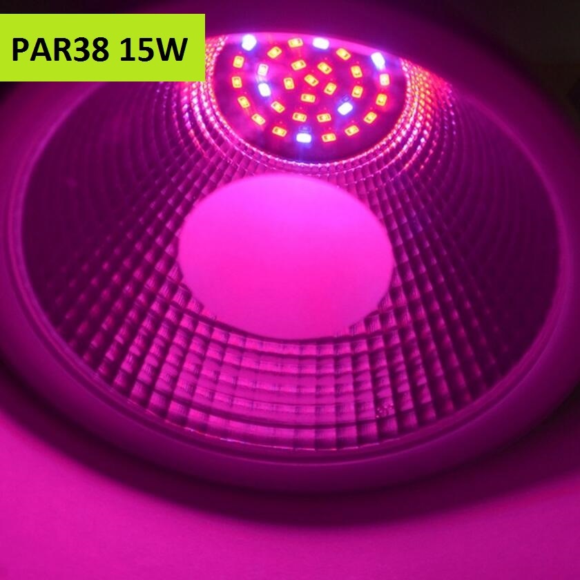 Newest LED Grow Light PAR38 15W E26 E27 for Home Organic Bulb Red Blue New Style for All Kinds of Plants