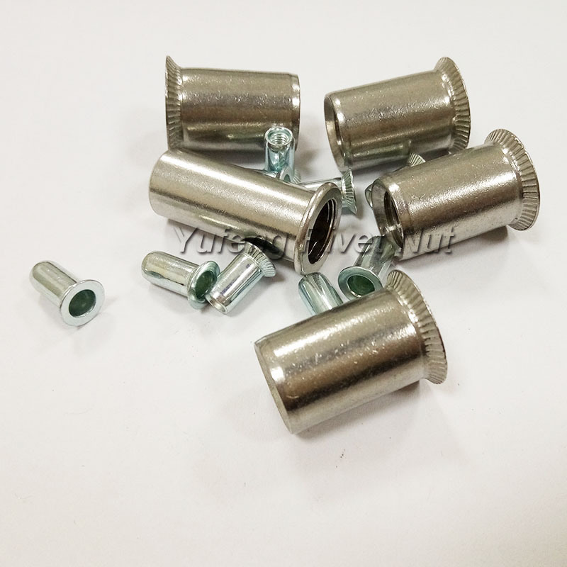 Stainless Steel/Carbon Steel Rivet Nut with Round Head