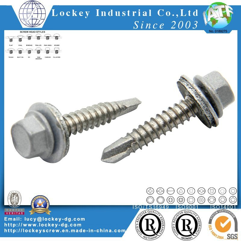 Stainless Steel 316 Hex Washer Head Self Drilling Screw with Rubber Washer