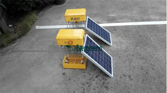High Efficient Solar Insecticidal Lamp