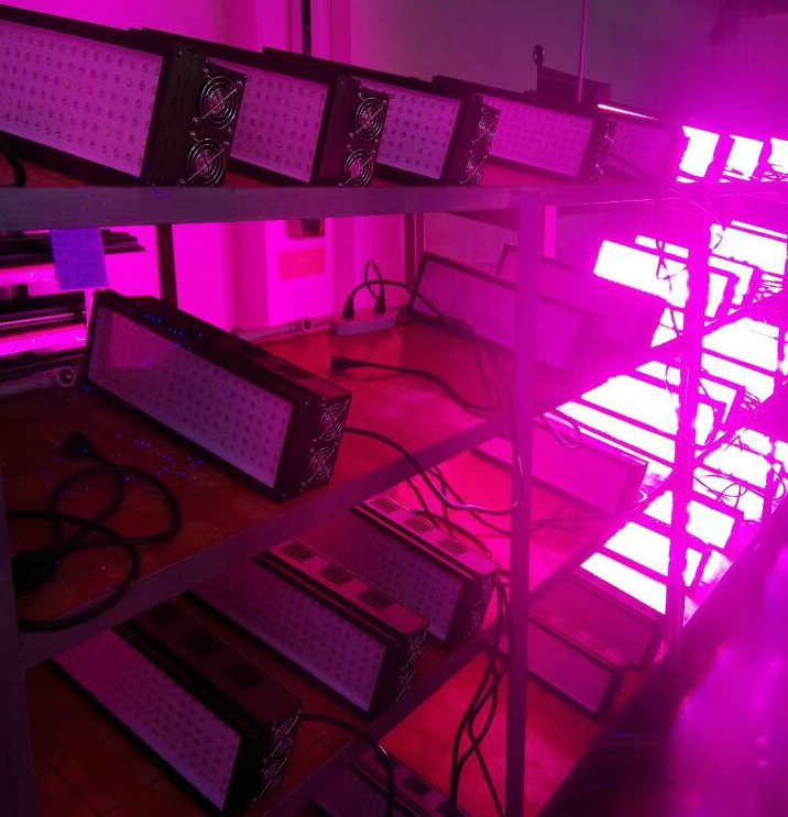 High PAR Value Plant Light LED for Indoor Greenhouse